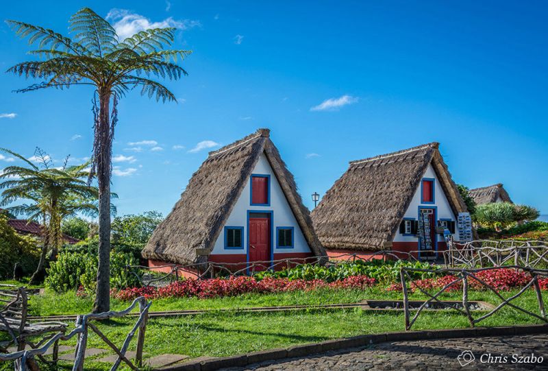madeira-island-32